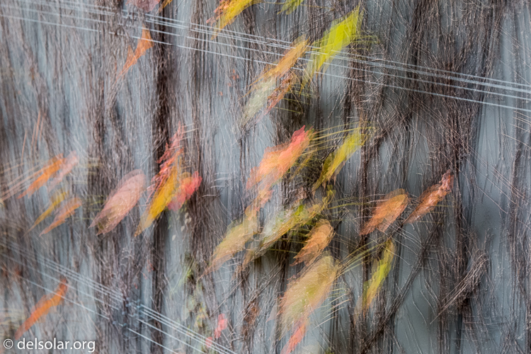 Canon EOS 5D Mark III  --  60 mm  --  EF24-105mm f/4L IS USM  