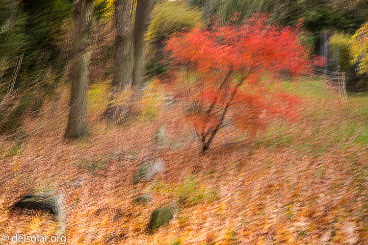 Canon EOS 5D Mark III  --  73 mm  --  EF24-105mm f/4L IS USM  