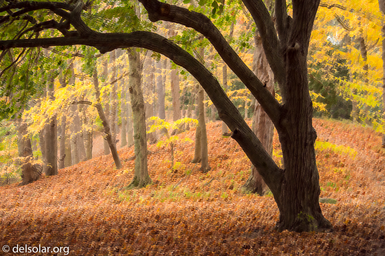 Canon EOS 5D Mark III  --  55 mm  --  EF24-105mm f/4L IS USM  