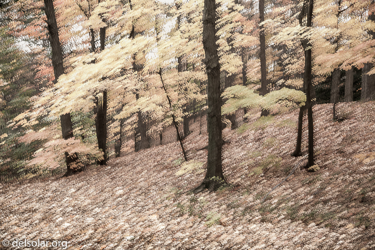 Canon EOS 5D Mark III  --  58 mm  --  EF24-105mm f/4L IS USM  