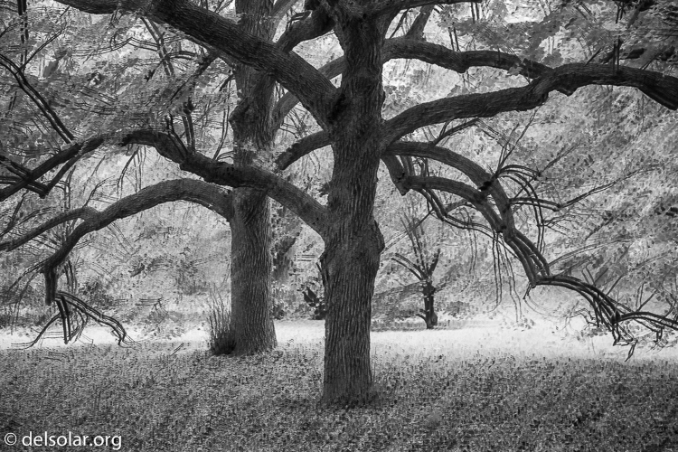 Canon EOS 5D Mark III  --  82 mm  --  EF24-105mm f/4L IS USM  