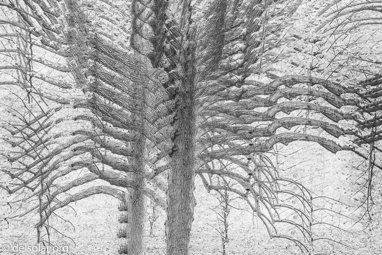 Canon EOS 5D Mark III  --  47 mm  --  EF24-105mm f/4L IS USM  