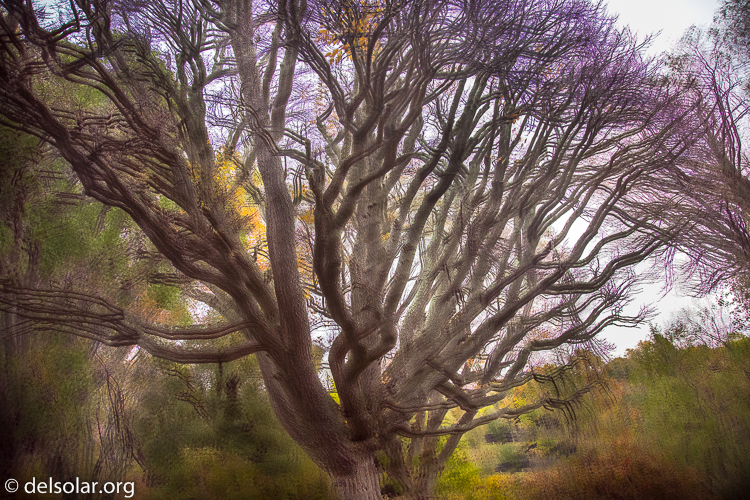 Canon EOS 5D Mark III  --  24 mm  --  EF24-105mm f/4L IS USM  