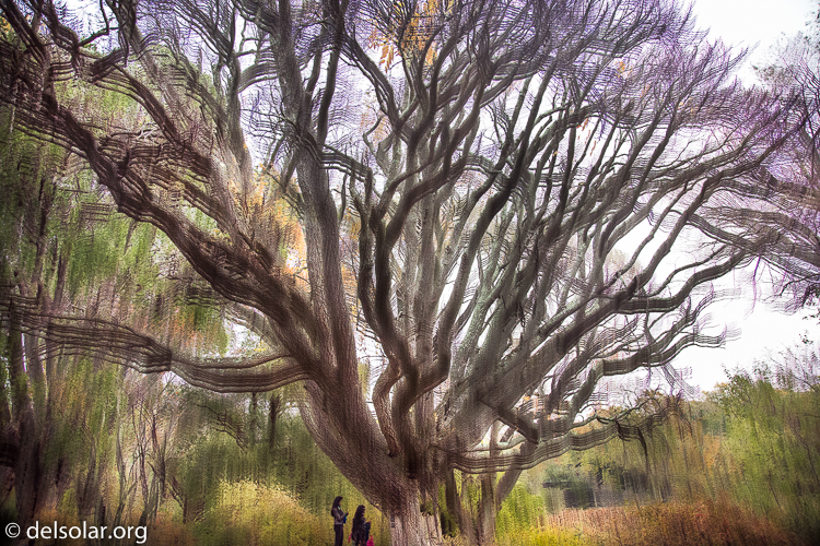 Canon EOS 5D Mark III  --  24 mm  --  EF24-105mm f/4L IS USM  