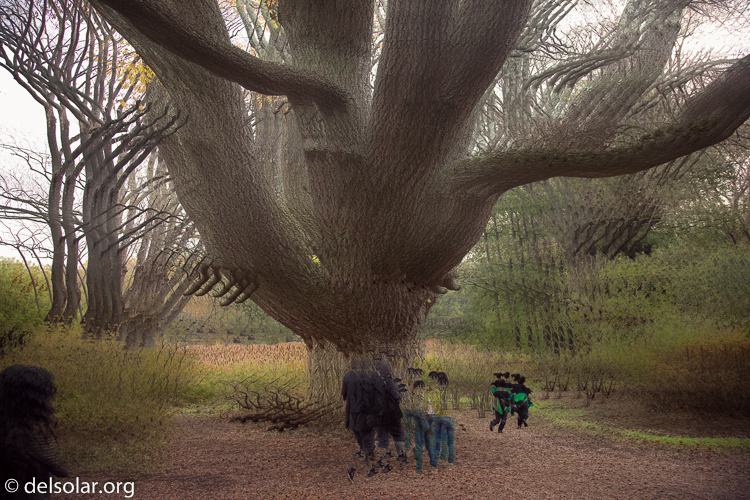 Canon EOS 5D Mark III  --  24 mm  --  EF24-105mm f/4L IS USM  