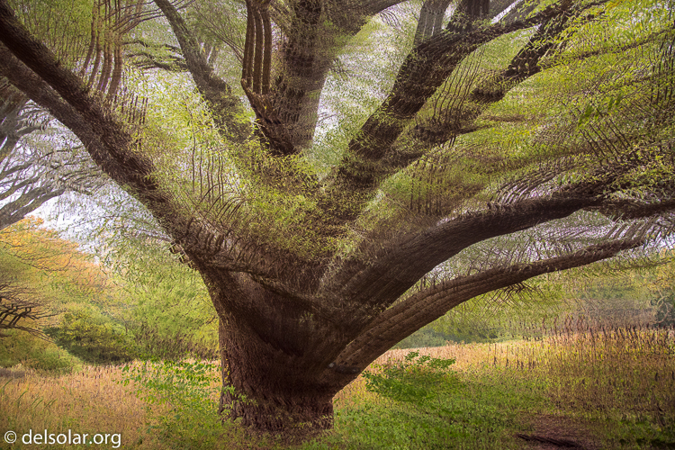 Canon EOS 5D Mark III  --  24 mm  --  EF24-105mm f/4L IS USM  