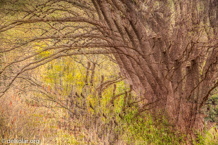 Canon EOS 5D Mark III  --  75 mm  --  EF24-105mm f/4L IS USM  