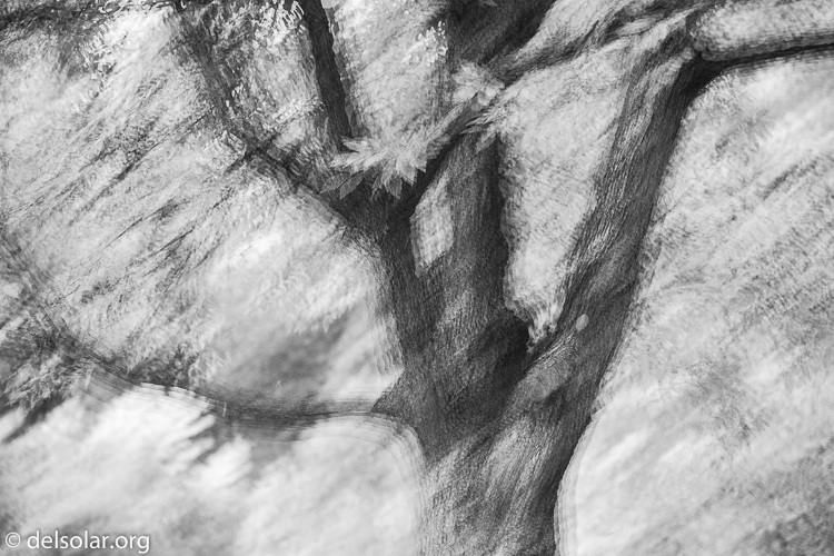 Canon EOS 5D Mark III  --  105 mm  --  EF24-105mm f/4L IS USM  