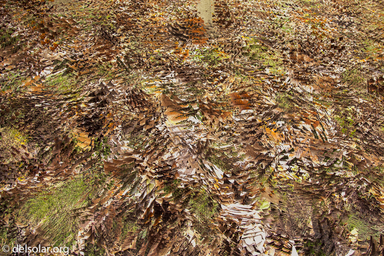 Canon EOS 5D Mark III  --  24 mm  --  EF24-105mm f/4L IS USM  