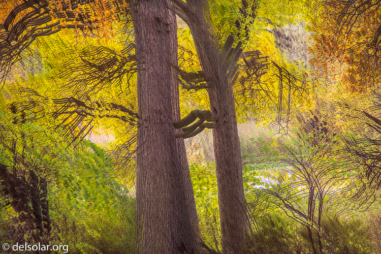 Canon EOS 5D Mark III  --  102 mm  --  EF24-105mm f/4L IS USM  