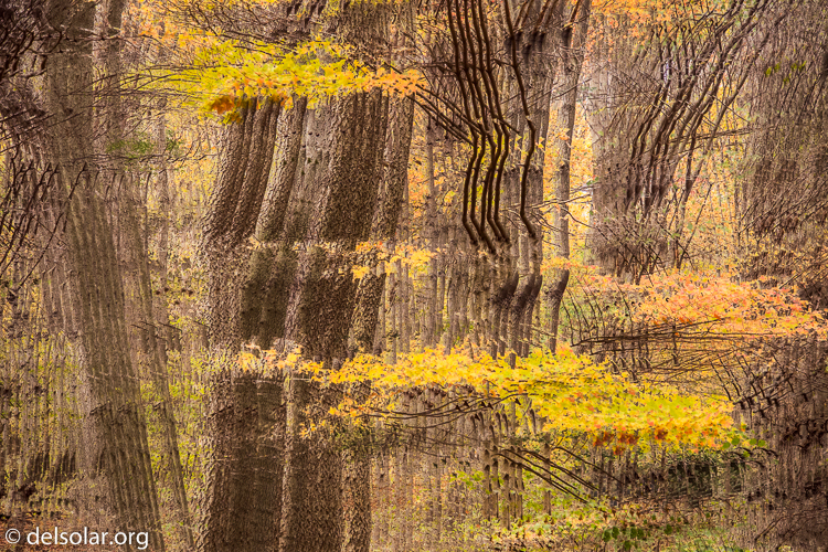 Canon EOS 5D Mark III  --  75 mm  --  EF24-105mm f/4L IS USM  