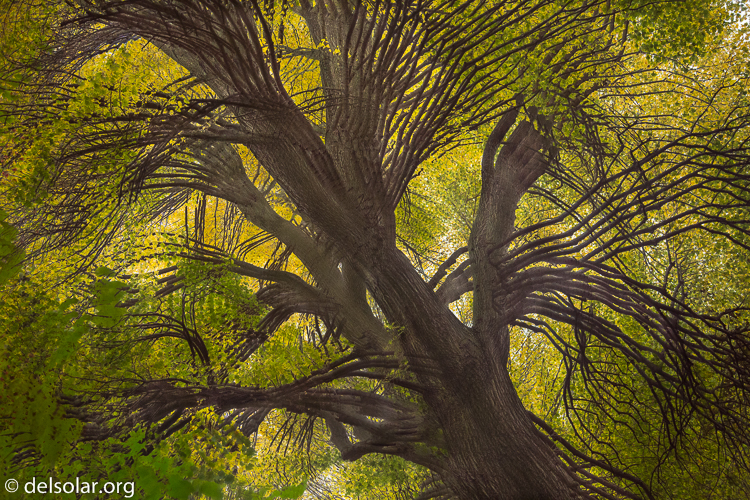 Canon EOS 5D Mark III  --  47 mm  --  EF24-105mm f/4L IS USM  