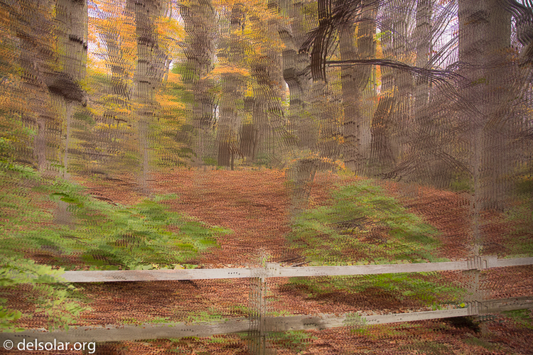 Canon EOS 5D Mark III  --  24 mm  --  EF24-105mm f/4L IS USM  