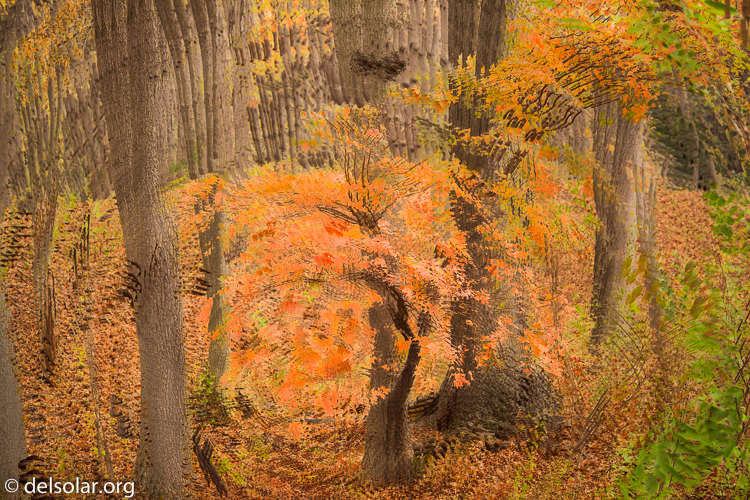 Canon EOS 5D Mark III  --  58 mm  --  EF24-105mm f/4L IS USM  