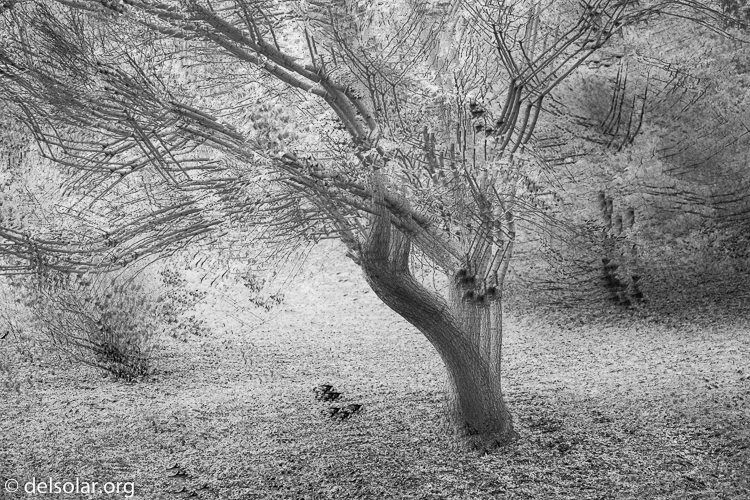 Canon EOS 5D Mark III  --  65 mm  --  EF24-105mm f/4L IS USM  