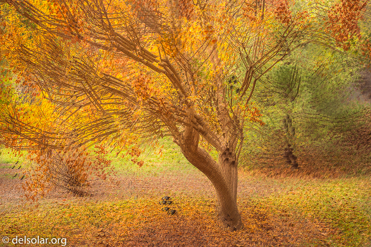 Canon EOS 5D Mark III  --  55 mm  --  EF24-105mm f/4L IS USM  