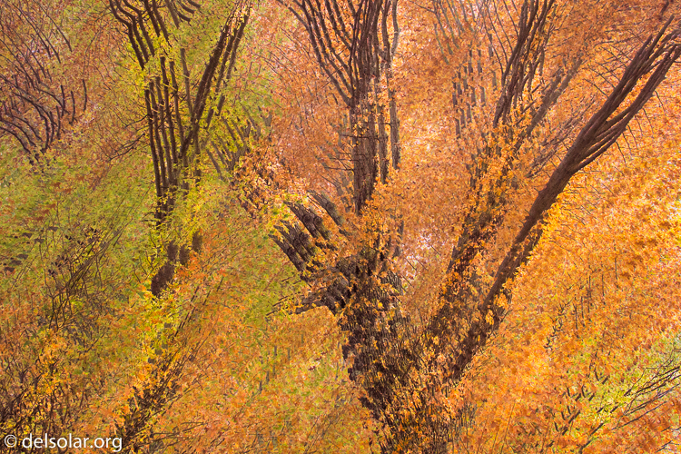 Canon EOS 5D Mark III  --  24 mm  --  EF24mm f/2.8  