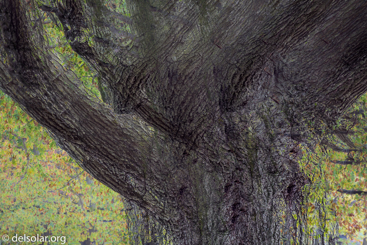 Canon EOS 5D Mark III  --  154 mm  --  EF70-200mm f/4L USM  