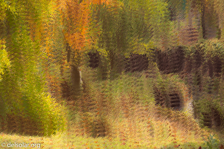 Canon EOS 5D Mark III  --  126 mm  --  EF70-200mm f/4L USM  