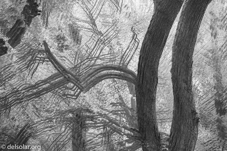 Canon EOS 5D Mark III  --  118 mm  --  EF70-200mm f/4L USM  