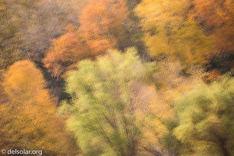 Canon EOS 5D Mark III  --  168 mm  --  EF70-200mm f/4L USM  