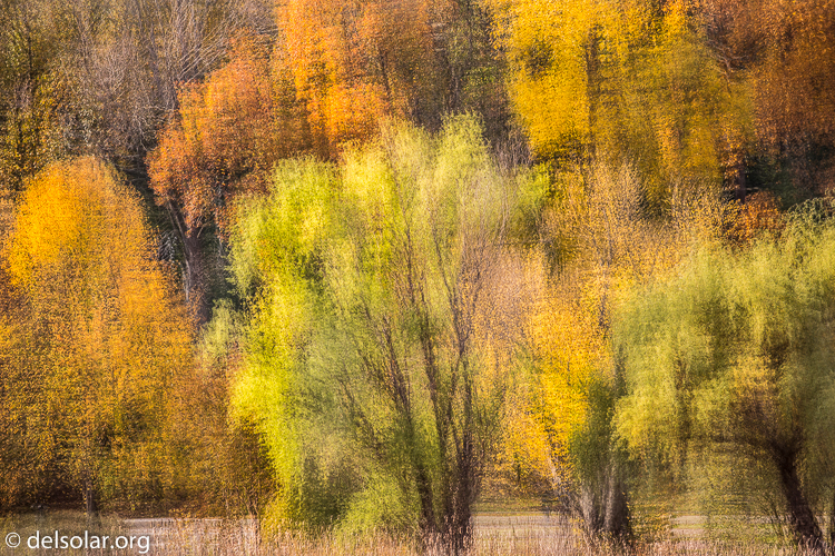 Canon EOS 5D Mark III  --  168 mm  --  EF70-200mm f/4L USM  