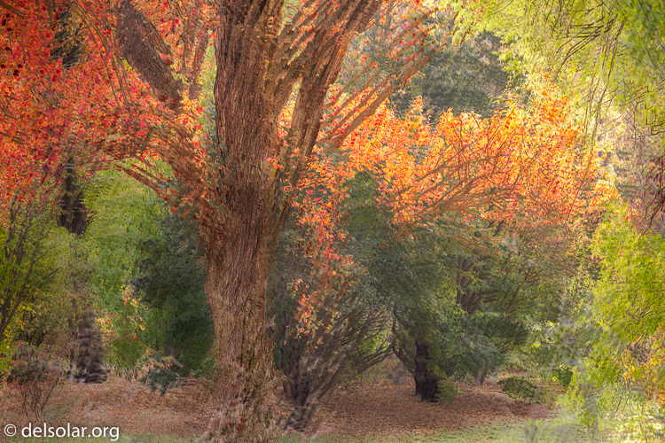 Canon EOS 5D Mark III  --  149 mm  --  EF70-200mm f/4L USM  