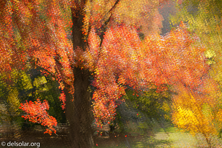 Canon EOS 5D Mark III  --  140 mm  --  EF70-200mm f/4L USM  