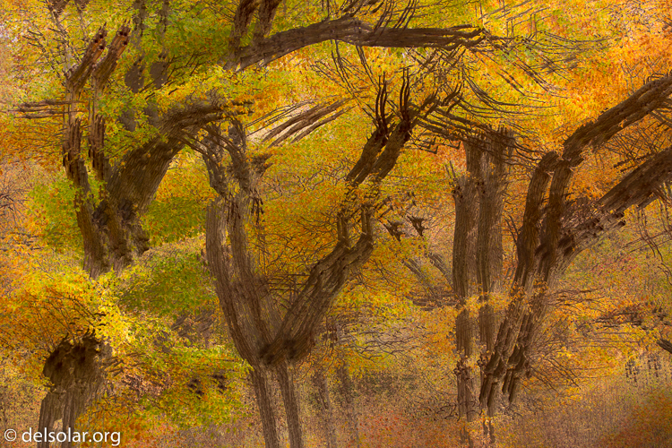 Canon EOS 5D Mark III  --  75 mm  --  EF70-200mm f/4L USM  