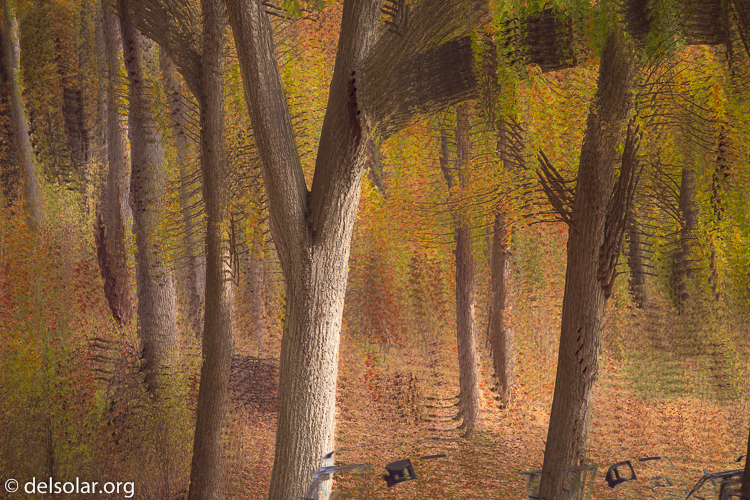 Canon EOS 5D Mark III  --  168 mm  --  EF70-200mm f/4L USM  