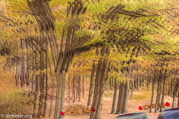 Canon EOS 5D Mark III  --  94 mm  --  EF70-200mm f/4L USM  