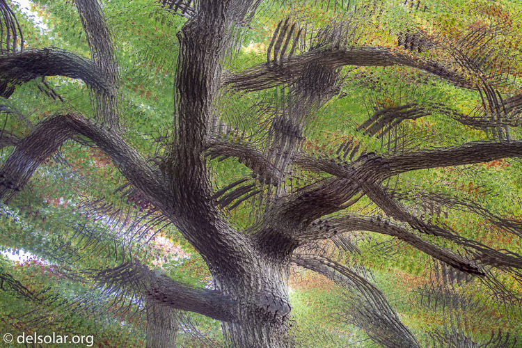 Canon EOS 5D Mark III  --  70 mm  --  EF70-200mm f/4L USM  