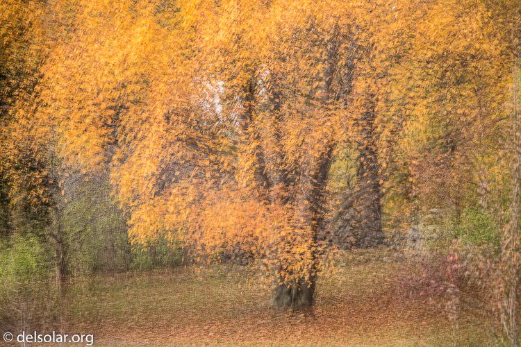 Canon EOS 5D Mark III  --  163 mm  --  EF70-200mm f/4L USM  