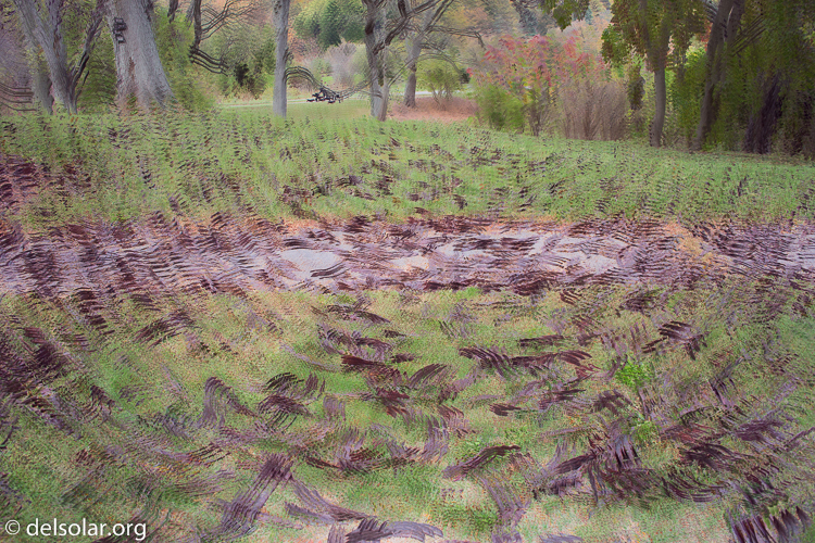 Canon EOS 5D Mark III  --  24 mm  --  EF24mm f/2.8  