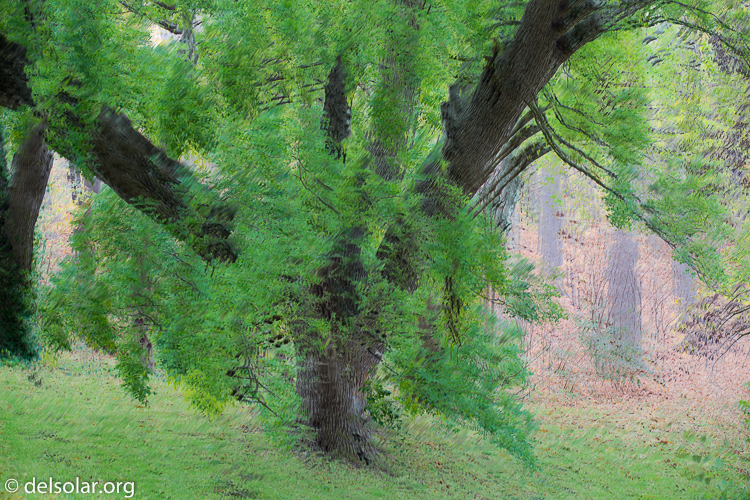 Canon EOS 5D Mark III  --  104 mm  --  EF70-200mm f/4L USM  