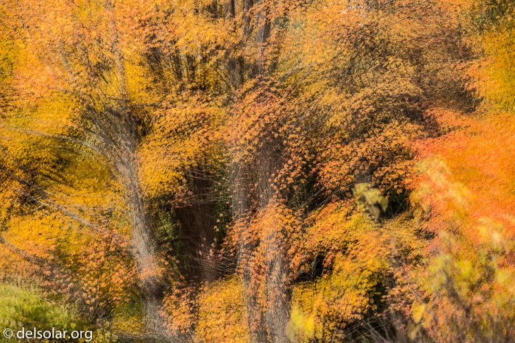 Canon EOS 5D Mark III  --  172 mm  --  EF70-200mm f/4L USM  