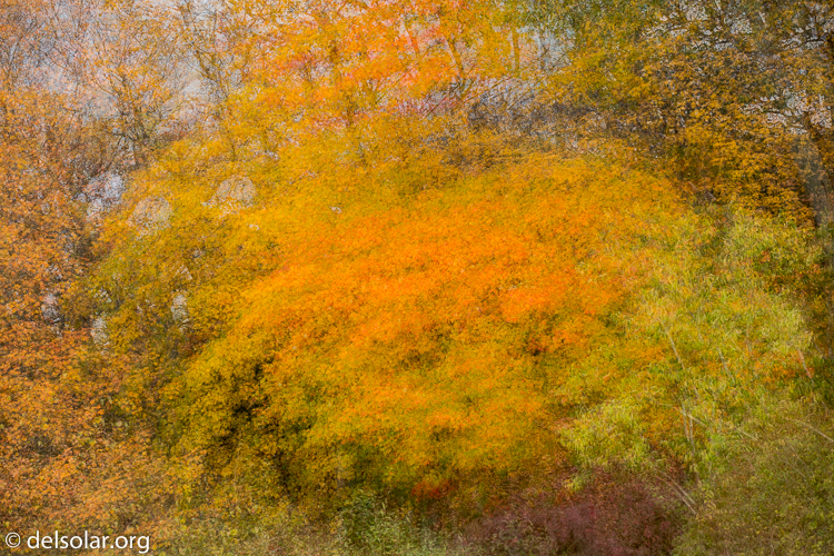 Canon EOS 5D Mark III  --  113 mm  --  EF70-200mm f/4L USM  