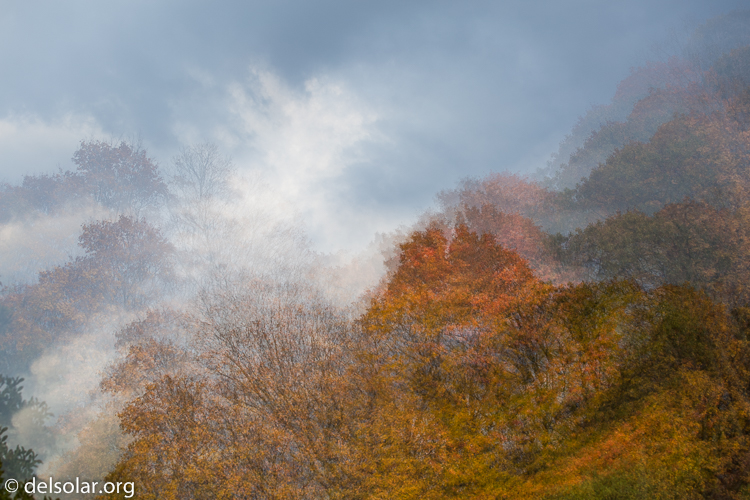 Canon EOS 5D Mark III  --  73 mm  --  EF70-200mm f/4L USM  