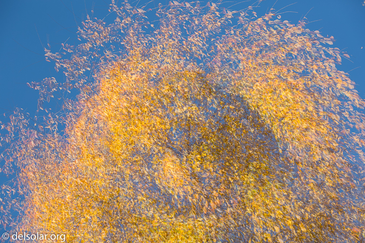 Canon EOS 5D Mark III  --  94 mm  --  EF70-200mm f/4L USM  