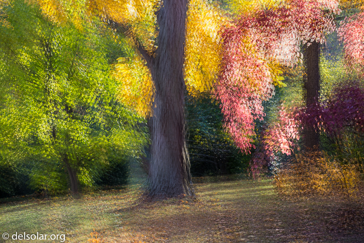 Canon EOS 5D Mark III  --  118 mm  --  EF70-200mm f/4L USM  