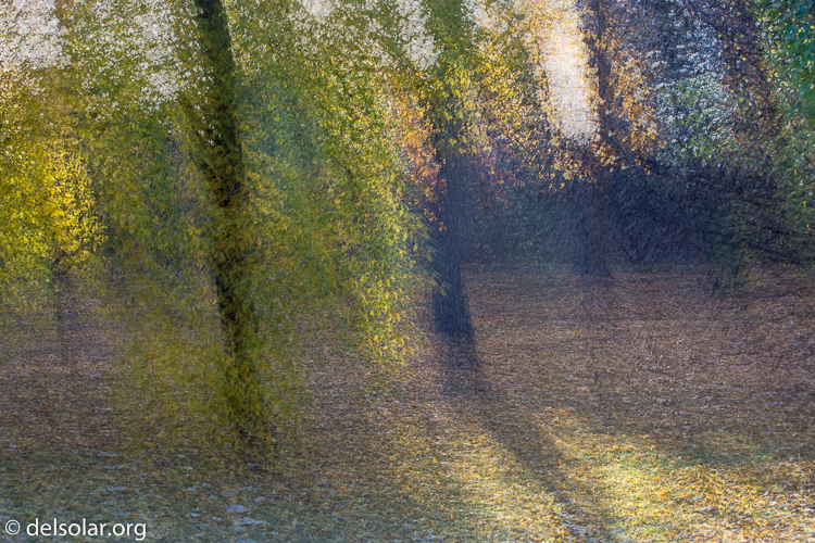 Canon EOS 5D Mark III  --  70 mm  --  EF70-200mm f/4L USM  