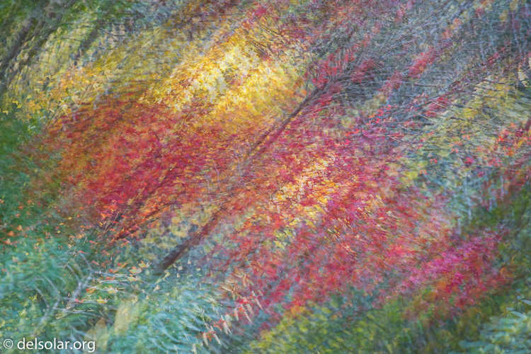 Canon EOS 5D Mark III  --  188 mm  --  EF70-200mm f/4L USM  