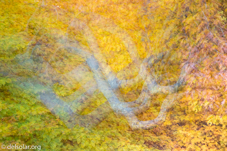 Canon EOS 5D Mark III  --  180 mm  --  EF70-200mm f/4L USM  