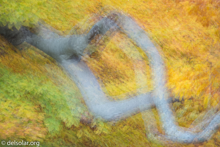 Canon EOS 5D Mark III  --  180 mm  --  EF70-200mm f/4L USM  