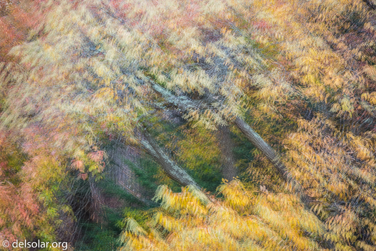 Canon EOS 5D Mark III  --  149 mm  --  EF70-200mm f/4L USM  