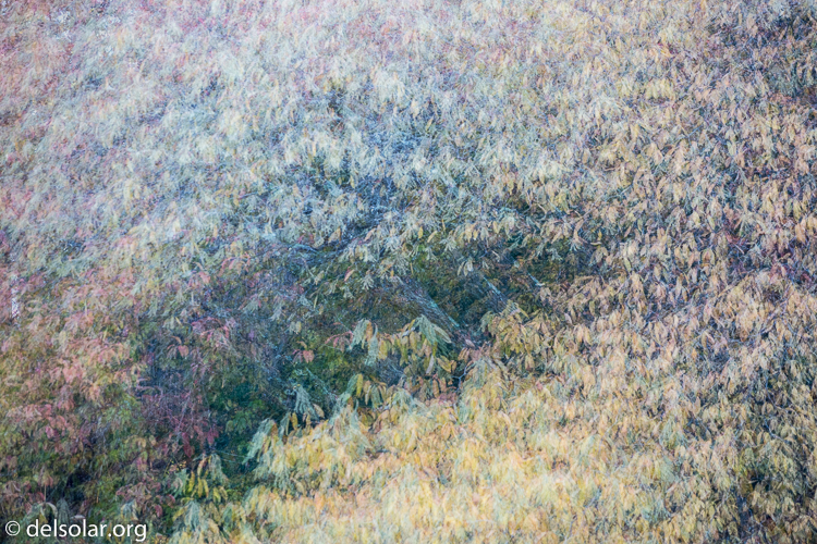 Canon EOS 5D Mark III  --  154 mm  --  EF70-200mm f/4L USM  