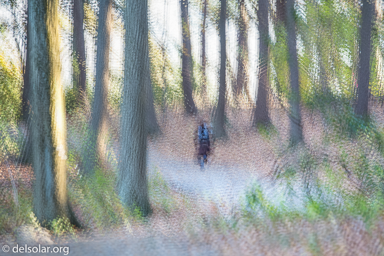 Canon EOS 5D Mark III  --  188 mm  --  EF70-200mm f/4L USM  