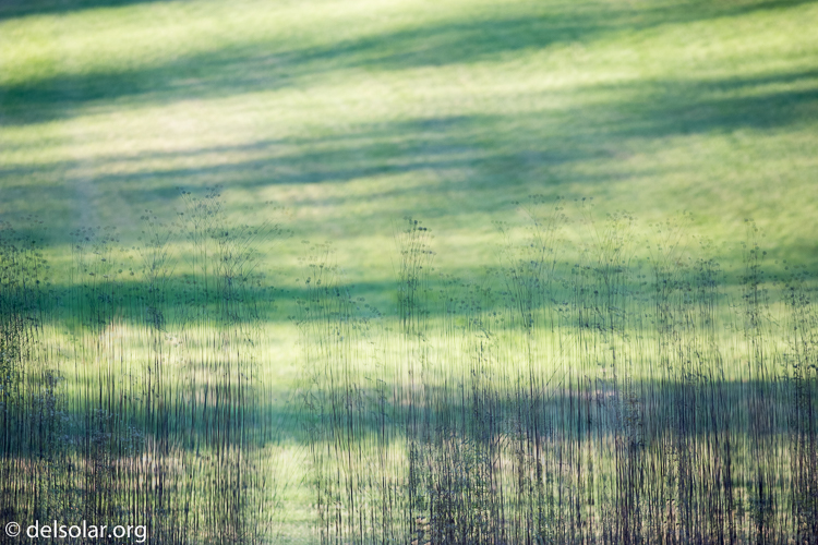 Canon EOS 5D Mark III  --  163 mm  --  EF70-200mm f/4L USM  