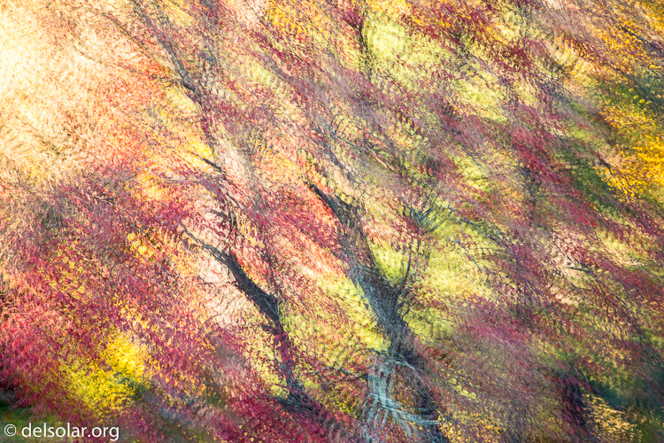 Canon EOS 5D Mark III  --  188 mm  --  EF70-200mm f/4L USM  