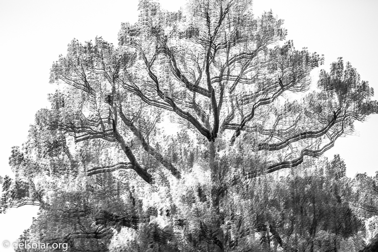 Canon EOS 5D Mark III  --  70 mm  --  EF70-200mm f/4L USM  